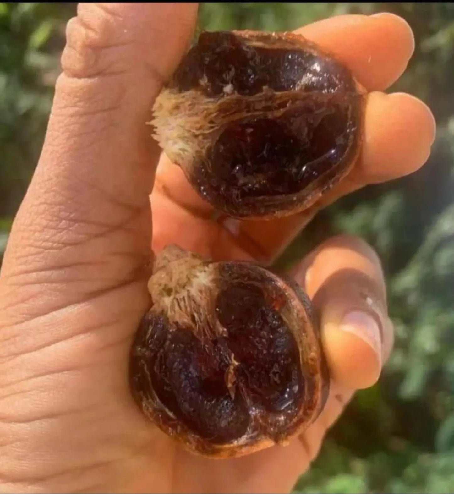 GORONTULA ATASSA : 100% FOYER ÉPANOUI