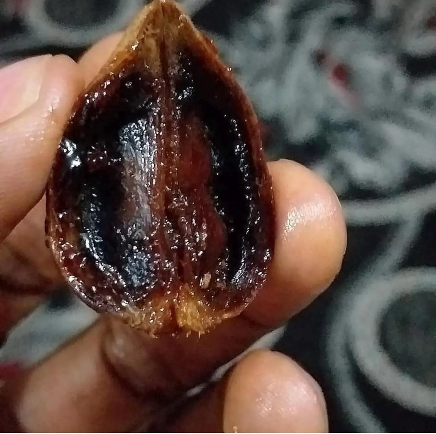 GORONTULA ATASSA : 100% FOYER ÉPANOUI