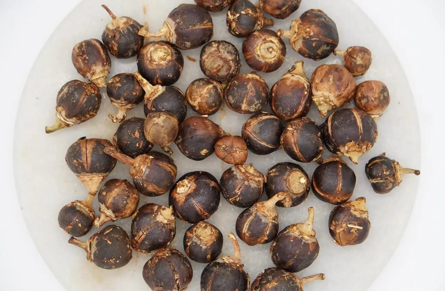 GORONTULA ATASSA : 100% FOYER ÉPANOUI